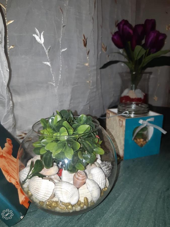 Sweet Home Danube Liman Apartment Νόβι Σαντ Εξωτερικό φωτογραφία