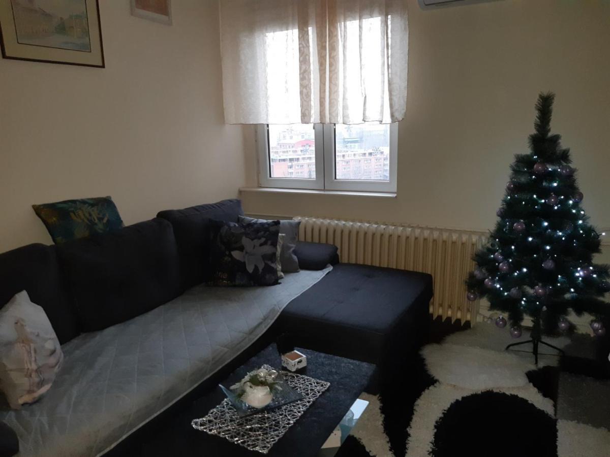 Sweet Home Danube Liman Apartment Νόβι Σαντ Εξωτερικό φωτογραφία