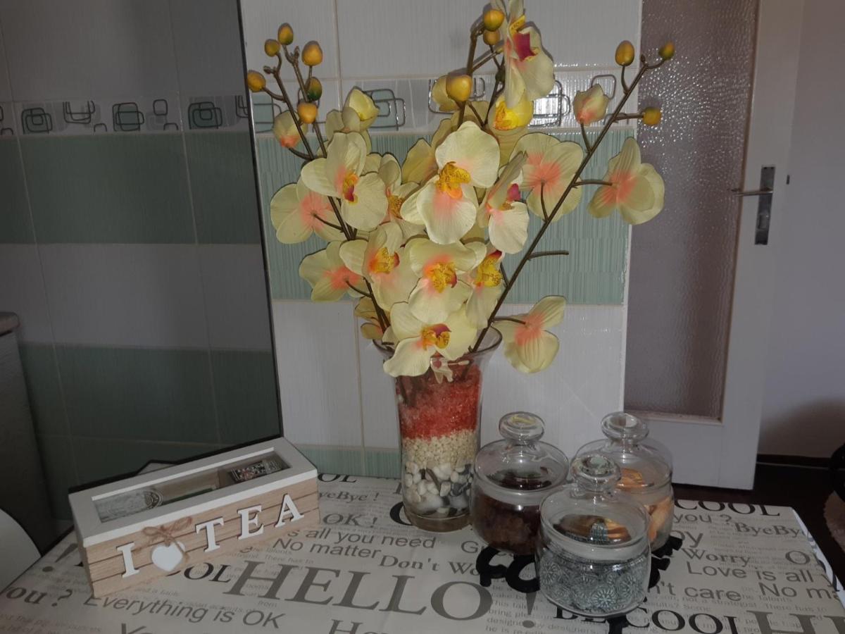 Sweet Home Danube Liman Apartment Νόβι Σαντ Εξωτερικό φωτογραφία