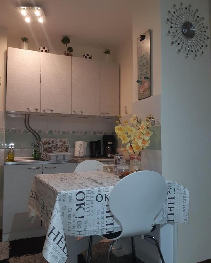 Sweet Home Danube Liman Apartment Νόβι Σαντ Εξωτερικό φωτογραφία